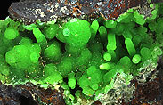 Konichalcit