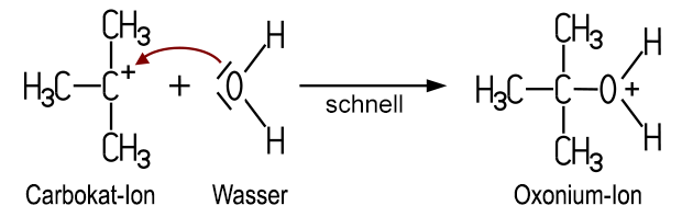 Tert-Butylchlorid reagiert mit Wasser