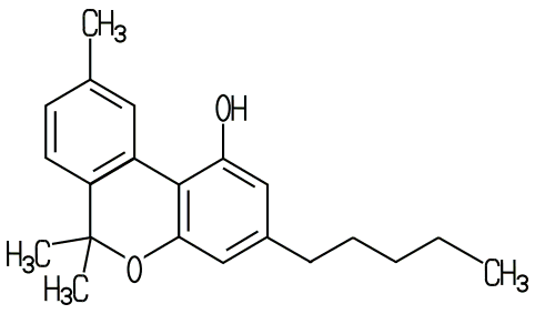 CBN-Molekl