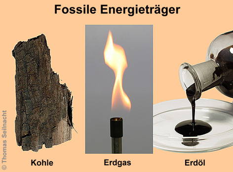 Fossile Energieträger: Kohle, Erdgas, Erdöl