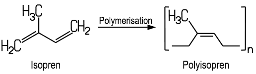 Polymerisation von Isopren