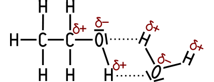 Wasserstoffbr&uuml;cken