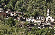 Arvigo