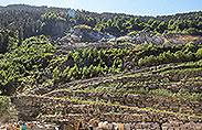 Steinbruch Arvigo