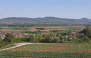 Kaiserstuhl