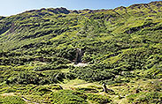 Paltano