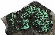 Torbernit