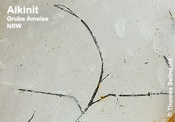 Aikinit aus der Grube Ameise