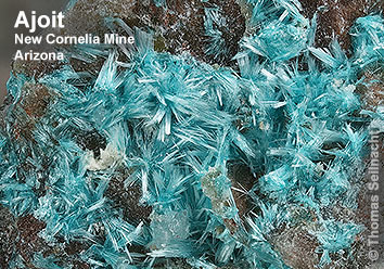 Ajoit aus der New Cornelia Mine