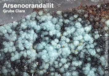 Arsenocrandallit aus der Grube Clara