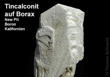 Tincalconit auf Borax