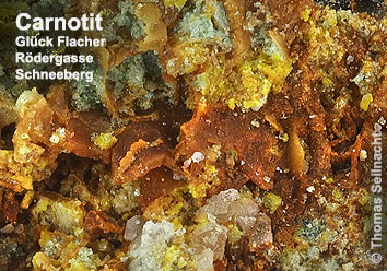 Carnotit aus Schneeberg