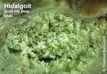 Hidalgoit aus der Gold Hill Mine in Utah