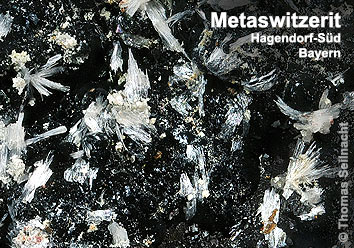 Metaswitzerit aus Hagendorf-Süd