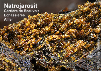 Natrojarosit aus dem Carrière de Beauvoir