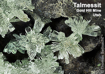 Talmessit von der Gold Hill Mine in Utah