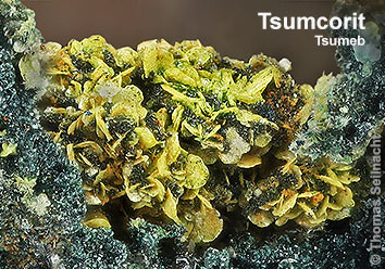 Tsumcorit aus Tsumeb