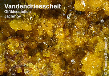 Vandendriesscheit aus J&aacute;chymov